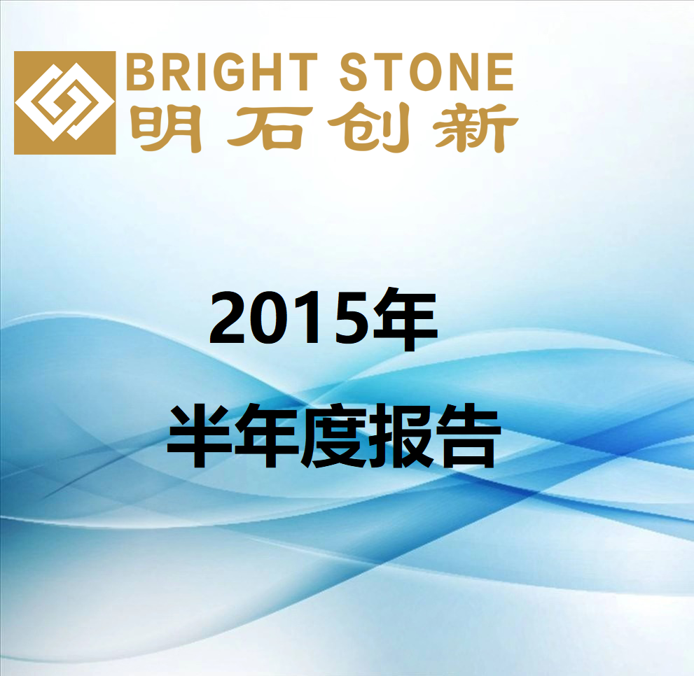 2015年半年度报告