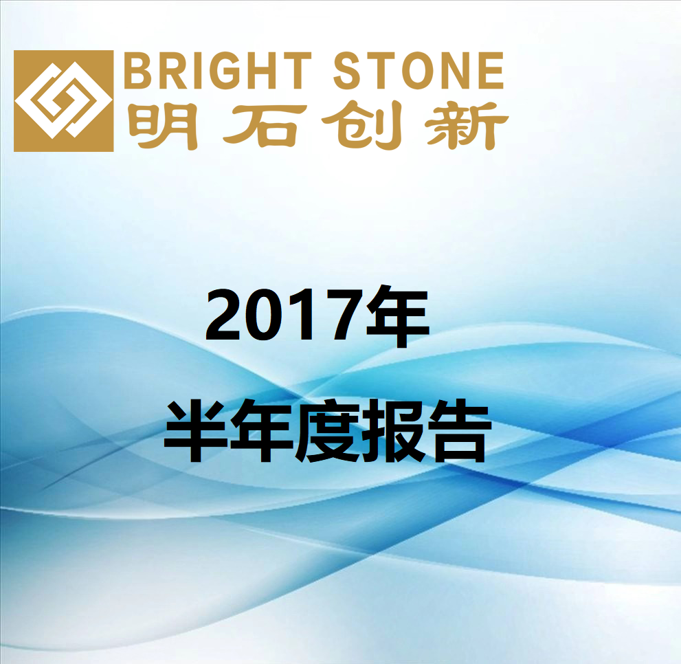 2017年半年度报告