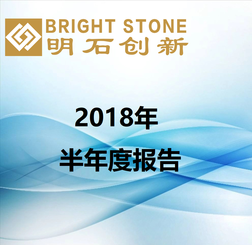 2018年半年度报告