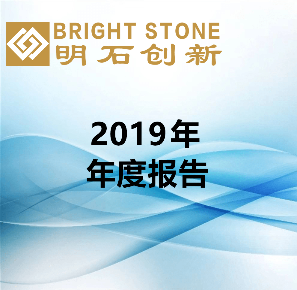 2019年年度报告