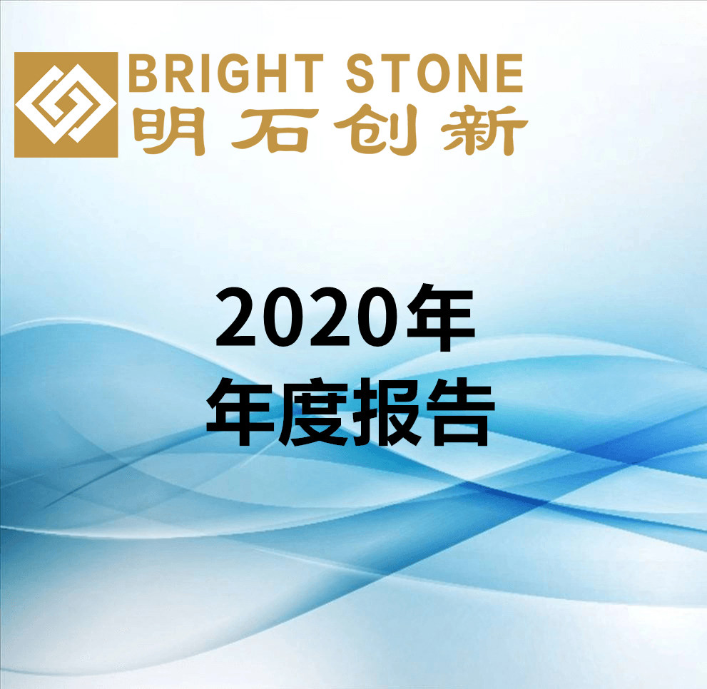 2020年年度报告
