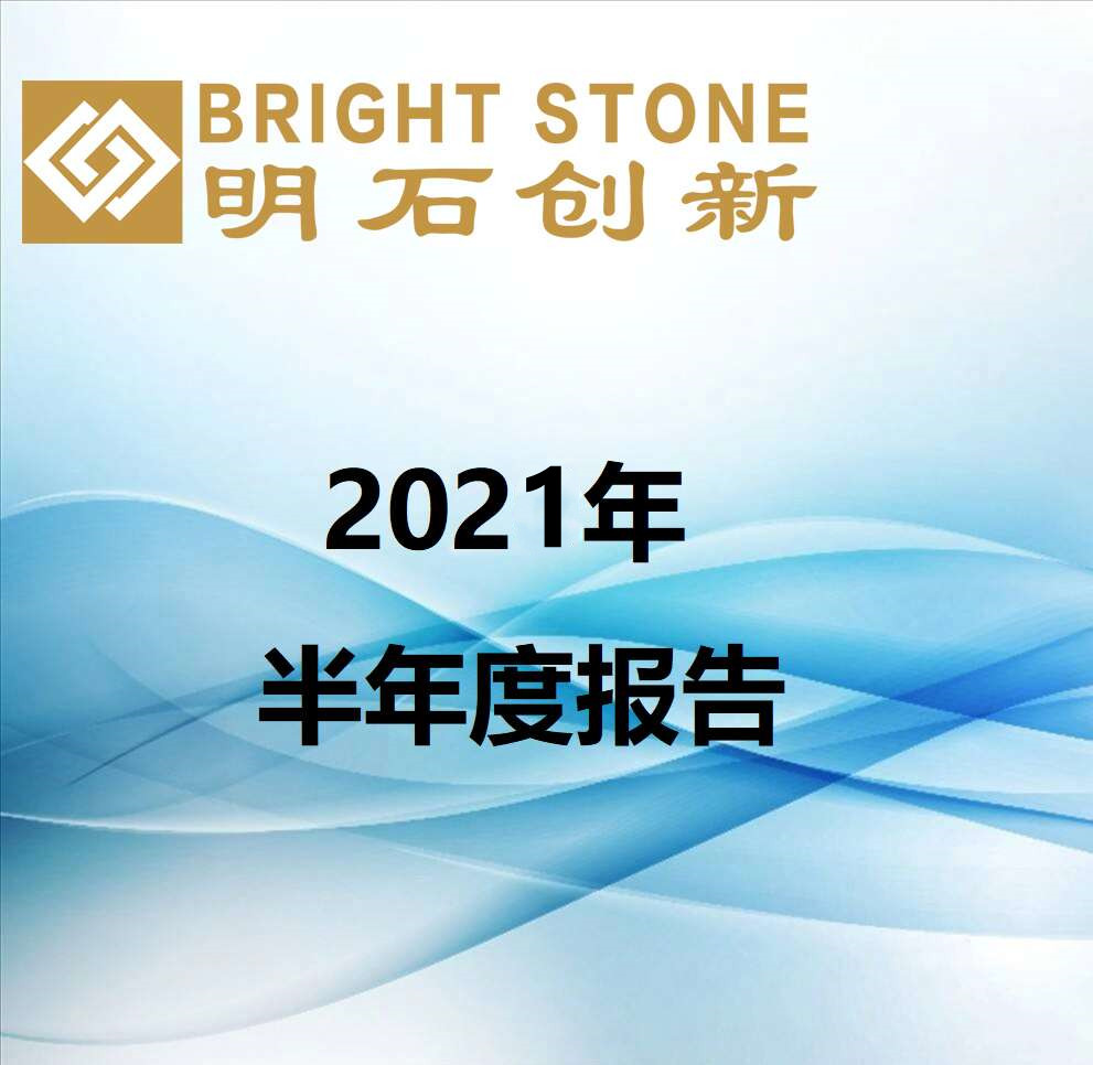 2021年半年度报告